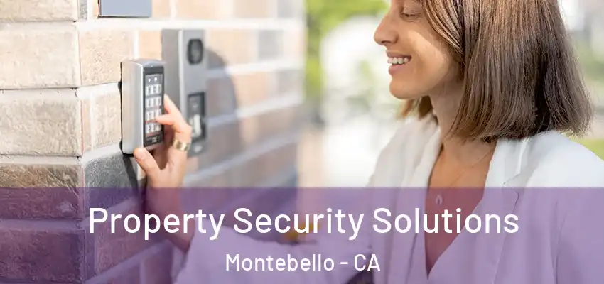  Property Security Solutions Montebello - CA